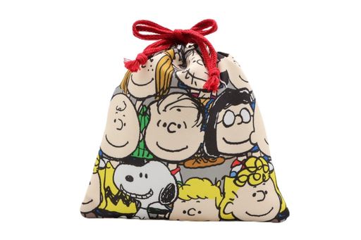 [ピーナッツ]化粧ケースPEANUTS入園入学総柄シリーズGRAY(S)