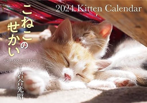 【S17】 こねこのせかい 2024 KITTEN CALENDAR (永岡書店のカレンダー)