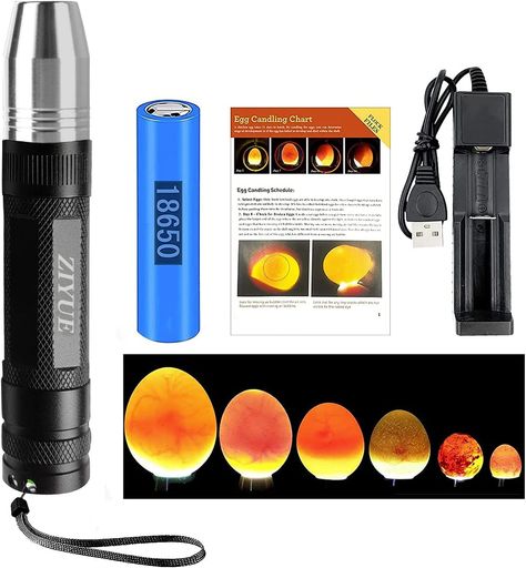 ziyue検卵器ライト孵卵器検卵ライト孵化器孵卵機懐中電灯たまごうずらアヒルインコダチョウ鳥検卵有精卵孵化用照卵器(Black)