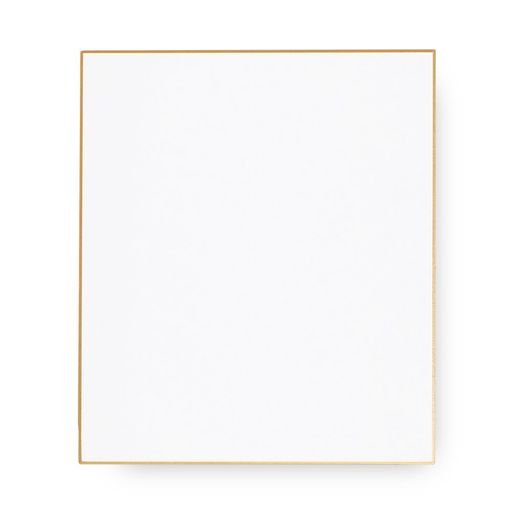 エヒメ紙工小色紙ESS-G50S画仙210x180mm50枚入