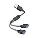LUYING USB2.0スプリッタYケーブル 1進2出アダプタ充電 拡張ハブデータ充電器 ートパソコン/MAC/自動車のための追加マルチポートデータ分割 ブラック 28CM