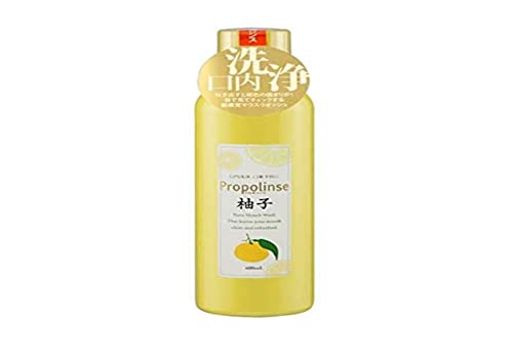 ԥ饹 ץݥ 600ML ͮ