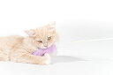 猫じゃらし ウサギの毛プチプチ猫おもちゃ ランダムカラー 3点セット (ねこの尻尾)