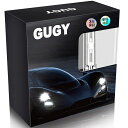 D2S HID バルブ 6000K 12V 車用 ヘッドライト 35W 車検対応 純正交換用 高輝度 明るい GUGYO 交換球 2個セット