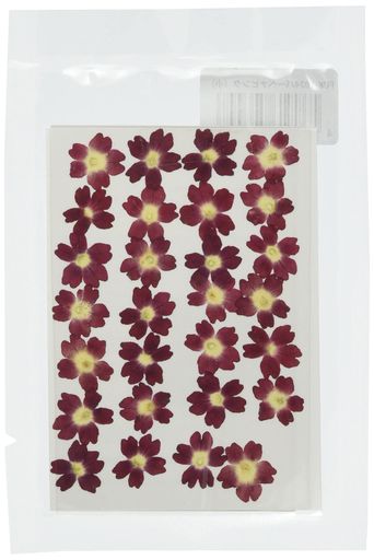 フクサン押し花パックバーベナピンク小FUK-1024