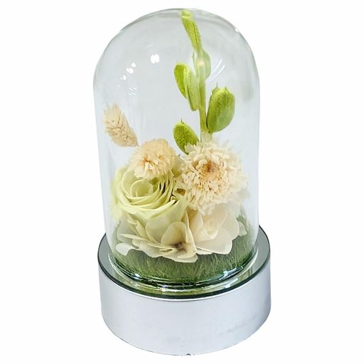 キューフラ(Q-FLA)プリザーブドフラワー光るプリザドームバラローズ母の日ギフト贈り物746796