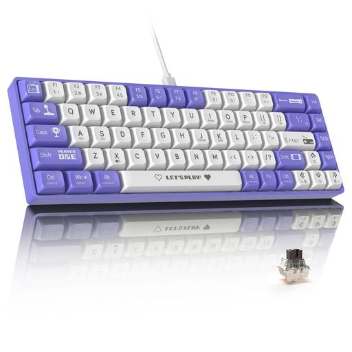 MAMBASNAKExAJAZZ AK680 有線ゲーミングキーボード 茶軸 軽量 メカニカルキーボード ホットスワップ対応 小型68キー RGB照明 ボール型キーキャップ EVAサンドイッチ WIN/MAC/ANDROID対応 ―紫