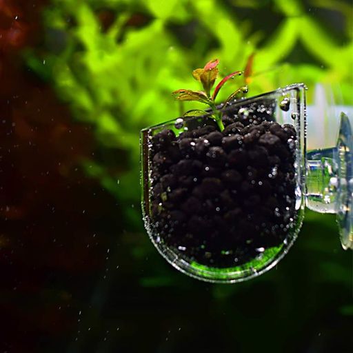 餌やり器 フィーダーカップ ワームフィーダ 栽培カップ 植物カップ 給餌器 給餌皿 エビ餌 エビ 稚魚 赤ワーム 熱帯魚 赤虫 エサトレイ 水族館 水槽(アクリル製・長角孔)