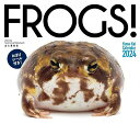 カレンダー2024 FROGS (月めくり/壁掛け) (ヤマケイカレンダー2024)