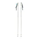 シナノ(SINANO)(メンズ、レディース、キッズ)スキーポール イーグル WT 115cm
