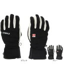 シュトロイレ(STREULE)(レディース)グローブ スキー スノーボード レディース QUILTING スノーグローブ 329ST1SN5003 保温 防水透...