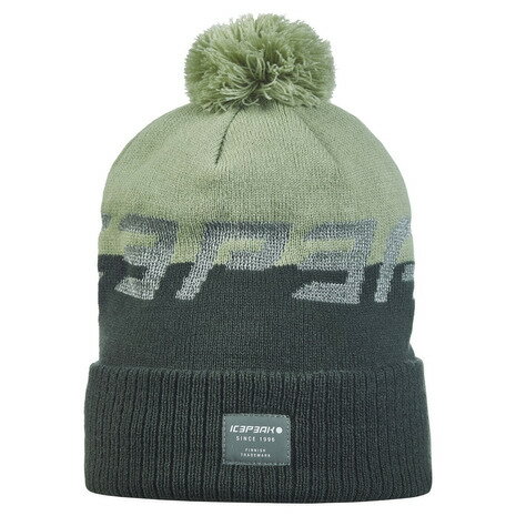 アイスピーク（ICEPEAK）（キッズ）ジュニア HALLSBURG ニット帽 52825 850 527