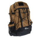 ジャックウルフスキン(JackWolfskin)(メンズ、レディース)バッグ リュック バックパック JP FL HIKER SACK V2 2011611-5164 ブラウン 24.5L