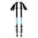 シナノ(SINANO)(メンズ、レディース)トレッキングポール ステッキ 24 ロングトレイル 125 BLE トレッキング 登山