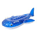 イガラシ(メンズ、レディース、キッズ)フロート ミニジンベイザメ うきわ 海水浴 プール 23FRB176V