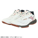 ミズノ(MIZUNO)(メンズ、レディース)バドミントンシューズ ワンピース ウエーブファング2 71GA241332
