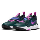 ナイキ(NIKE)(キッズ)ジュニアバスケットシューズ バッシュ チームハッスルD11PS DV8994-300