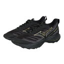 ミズノ(MIZUNO)(メンズ、レディース)ランニングシューズ ジョギングシューズ ウエーブライダーGTX 2 J1GC248201