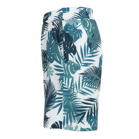 エアボーン（ARBN）（メンズ）水着 海水パンツ ショートスイムパンツ04 水陸両用 AB2023SSM-SWIM004