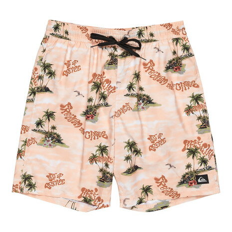 クイックシルバー（Quiksilver）（メンズ）水着 ボードショーツ EVERYDAY STRAIGHT VL 19 25SPQBS251001MEF6