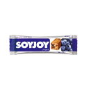 ソイジョイ(SOYJOY)(メンズ、レディース、キッズ)ソイジョイ(SOY JOY) ブルーベリー 30g