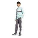 アディダス(adidas)(キッズ)ジュニア シーズナル エッセンシャルズ Tiberio スリーストライプス トリコット トラックスーツ KQG66-JC9302(4)