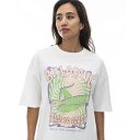 ビラボン(BILLABONG)(レディース)SINCE 73 LOOSE 半袖Tシャツ BE01C209 SCS