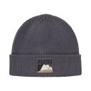プーマ(PUMA)(メンズ、レディース)ニット帽 ベタースポーツウェア ビーニー 02547002 防寒 フリーサイズ グレー