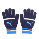 プーマ(PUMA)(メンズ、レディース)手袋 スポーツ グローブ 1 04206302 ブルー 滑り止め