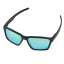 クールアイズジャパン(Cool Eyes Japan)(メンズ)サングラス RT4007-1 偏光 UV(4)