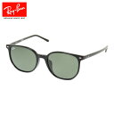 レイバン(RAY-BAN)(メンズ)サングラス ELLIOT 2197...(4)