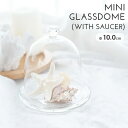 ガラス ミニドーム 花器 かざり インテリア コンポート テーブルウェア カフェ風 まとめ買い 業務用 おしゃれ サロンインテリア ディスプレイ 桃の節句 ひな...
