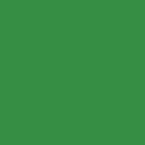 ポーセラーツ 転写紙 カラー COLOR FOREST GREEN (単色・フォレストグリーン) green