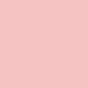 ݡ顼 ž̻ 顼 COLOR CORAL BEACH (ñӡ) pink