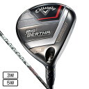 キャロウェイ（CALLAWAY）（メンズ）BIG BERTHA ビッ