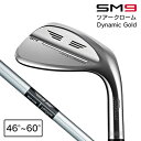 【5/10限定 3点以上購入で最大8%OFFクーポン】タイトリスト（TITLEIST）（メンズ） SM9 ウェッジ ツアークローム Dynamic Gold