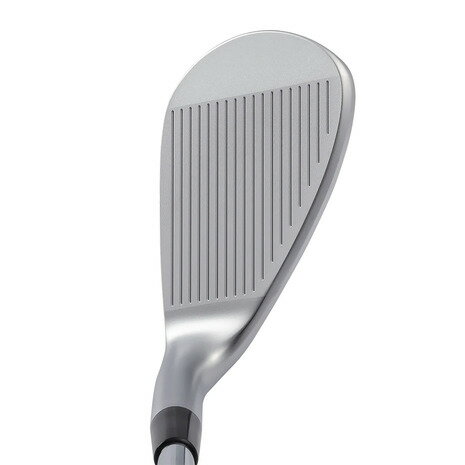 キャスコ（KASCO）（メンズ）ドルフィンウェッジ DW-123 N.S.PRO 950 GH