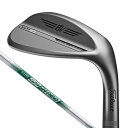 【7/15限定 最大1万Pバック要エントリー&抽選】タイトリスト(TITLEIST)(メンズ)VOKEY SM10 ALL-NEW NICKEL ウェッジ(5814K、ロフト58度)N.S.PRO 950GH neo
