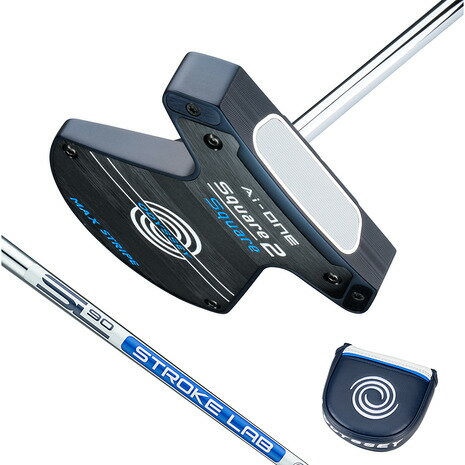 【最大1万Pバック エントリー＆抽選 12/1限定】オデッセイ（ODYSSEY）（メンズ）Ai-ONE エーアイワン ..