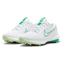 ナイキ(NIKE)(メンズ)ゴルフシューズ ビクトリー プロ 3 ワイド DX9028-103