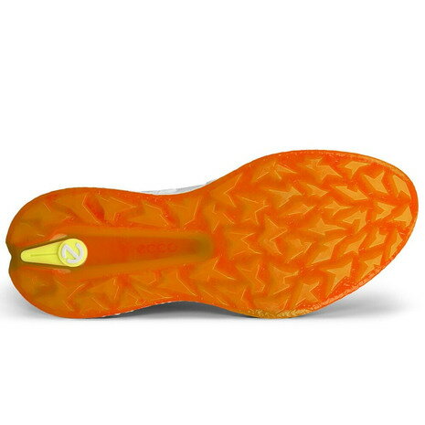 エコー（ecco）（レディース）ゴルフシューズ スパイクレス BOA ボア ダイヤル式 BIOM H5 BOA WH 11501301007