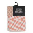 レウス(LEUS)(メンズ、レディース)ゴルフ CADDY エコタオル TERRACOTT 06CTTRTCRD