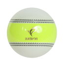 ハタチ(HATACHI)(メンズ、レディース)パークゴルフ ナビゲーションボール イエロー PH3720-45
