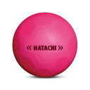 ハタチ(HATACHI)(メンズ、レディース)グラウンドゴルフ SHOOTボール BH3460-64
