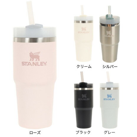 【5%OFFクーポン4/30限定 2点以上購入】スタンレー（STANLEY）水筒 タンブラー 保冷 H2.0 真空スリムクエンチャー 414ml 10-10828