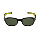 アイヴォル(EYEVOL)(メンズ)サングラス FRIEDMAN-52 52 DM-LY-G15PL-G15 UV