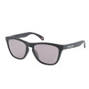 【7/15限定 最大1万Pバック要エントリー&抽選】オークリー(OAKLEY)(メンズ)サングラス FROGSKINS A 9245E354 UV