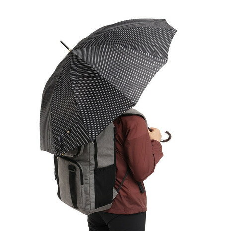 ナチュラルベーシック(Natural Basic)(レディース)雨傘 ピンドット 長傘 12K 黒 731-011 55cm 傘 梅雨 雨 雨天 シンプル おしゃれ 軽量