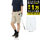 【7/15限定 最大1万Pバック要エントリー&抽選】ハーレー(HURLEY)(メンズ)ゴルフウェア 軽量 ファントム ツイル ブロックパーティー ハーフパンツ レギュラー丈 MGWS251114