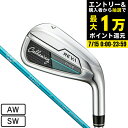 【7/15限定 最大1万Pバック要エントリー&抽選】キャロウェイ(CALLAWAY)(レディース)REVA RISE レヴァ ライズ アイアン ELDIO 40 for Callaway LDY